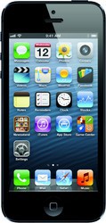 Apple iPhone 5 16GB - Соликамск